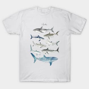 Sharks T-Shirt